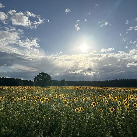 Urlaub Auf Dem Land Apartment Triepkendorf Bagian luar foto