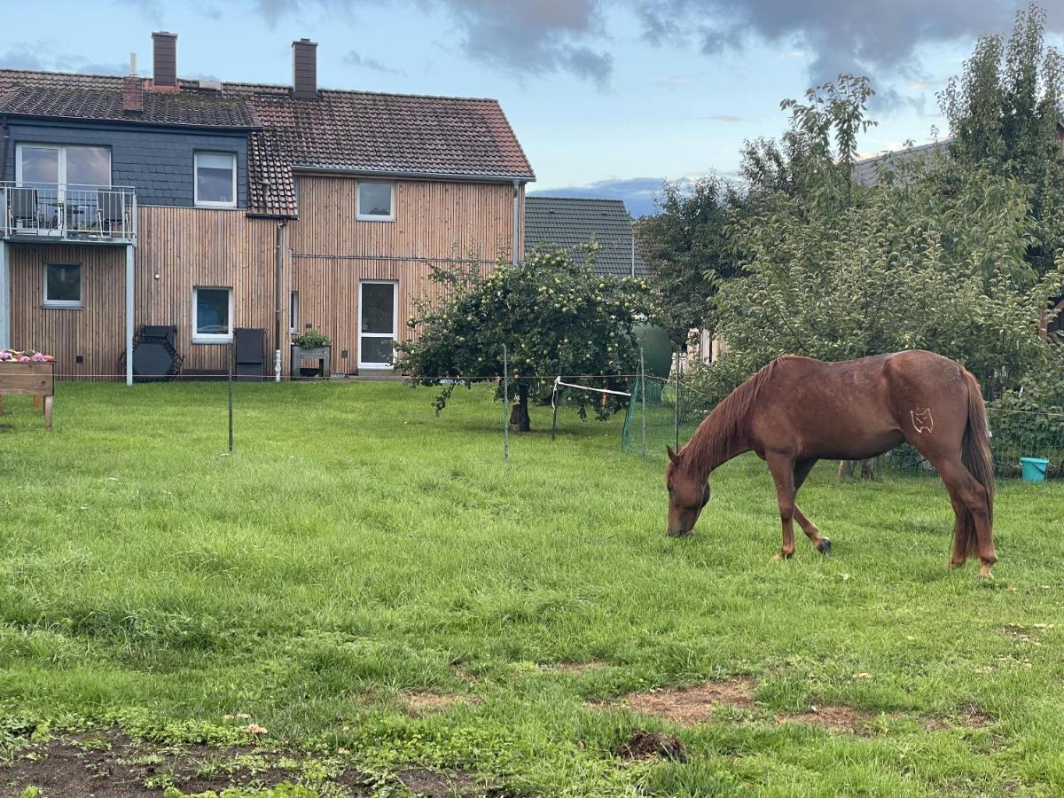 Urlaub Auf Dem Land Apartment Triepkendorf Bagian luar foto